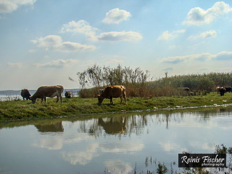 Water reflections on Jandari lake