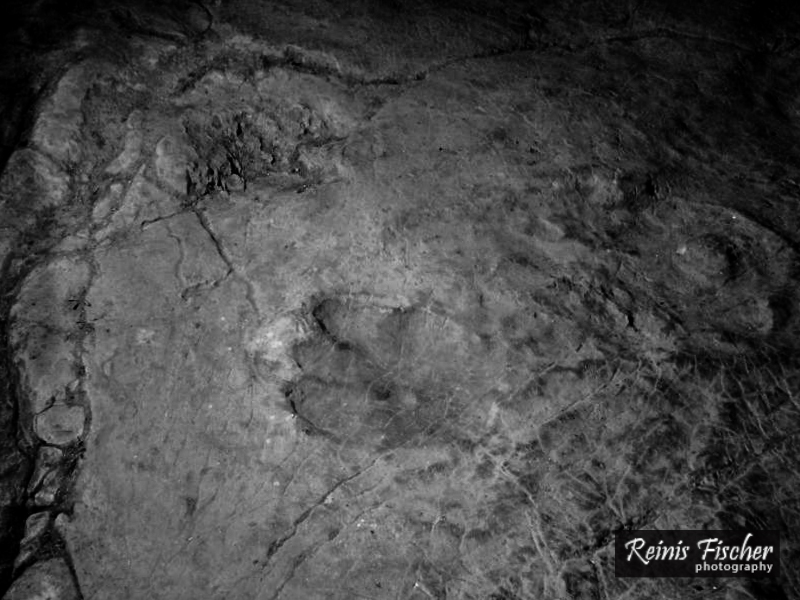 Dinosaur footstep in rock at Sataplia