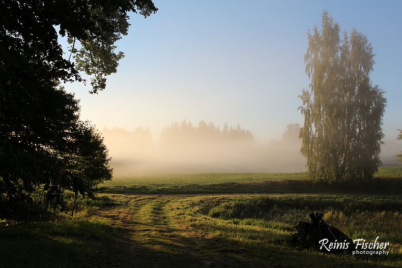 Morning mist 
