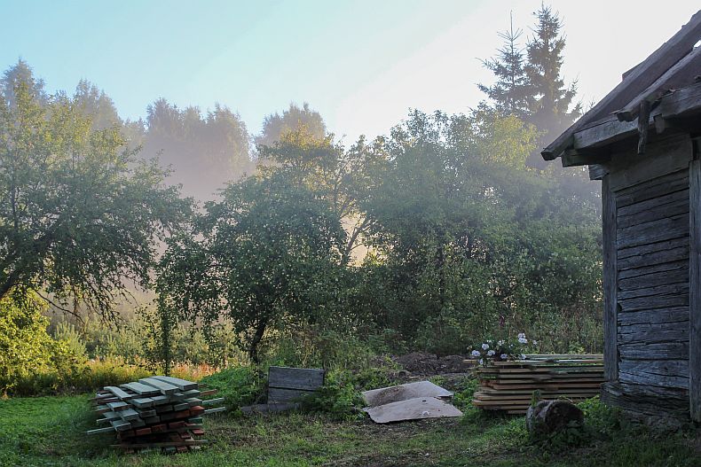 Mist in our backyard territory