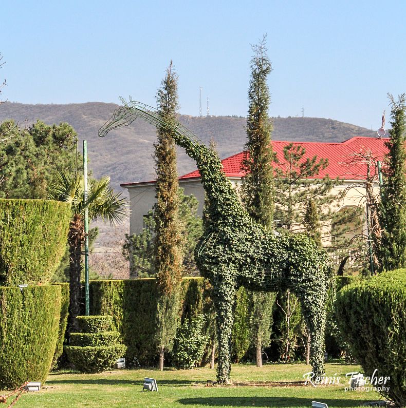 Giraffe at Gujari restaurant in Mtskheta