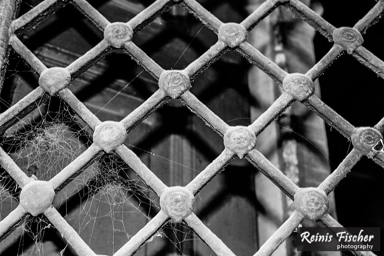 Window grating with spider web