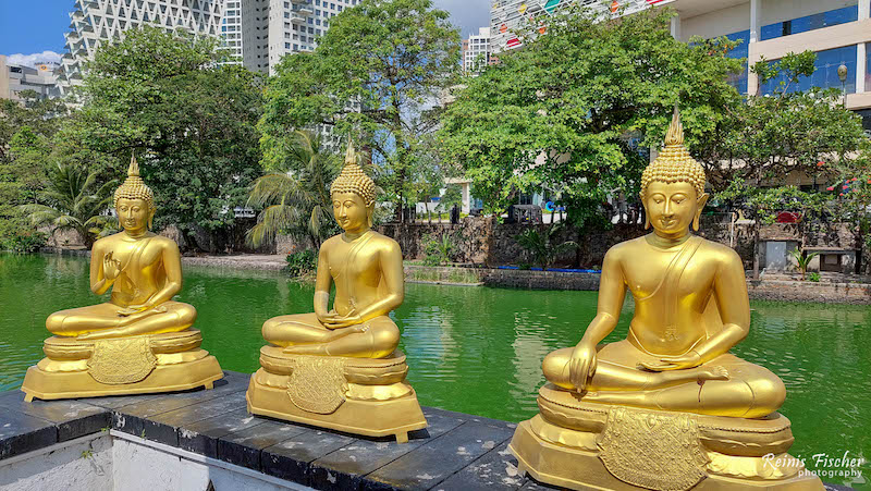 Budha statues
