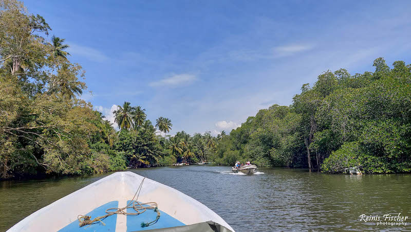 Madu Ganga river boat safari in Sri Lanka