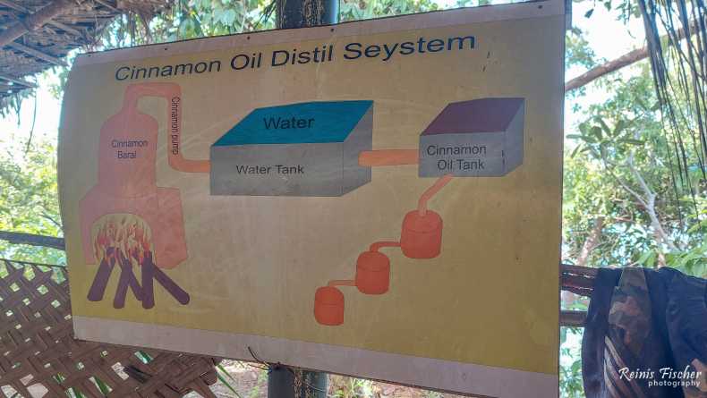 Cinamon Oil Distil process