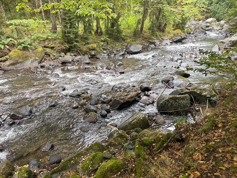 Hiking in Borjomi