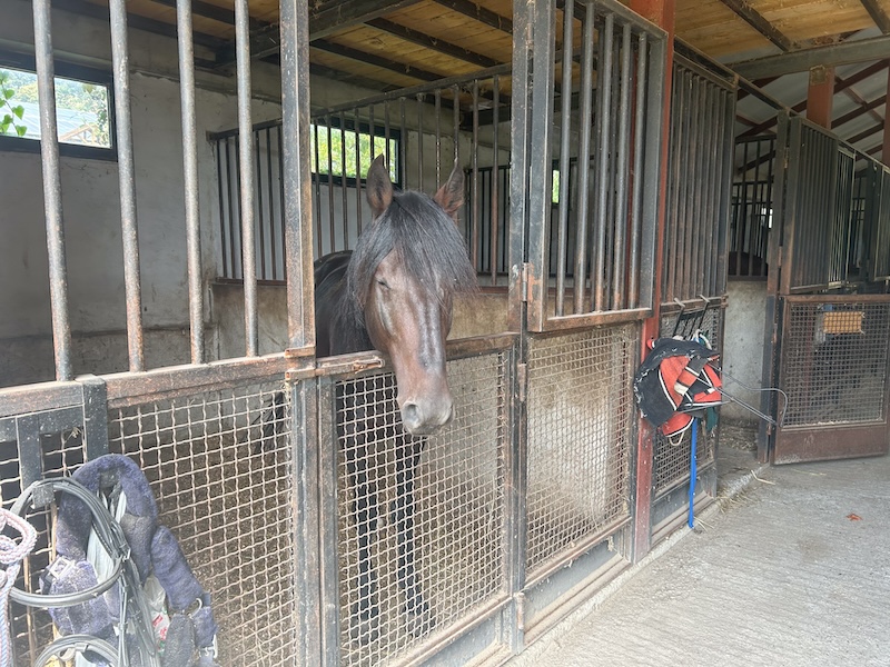 Stables at Kiketi farm