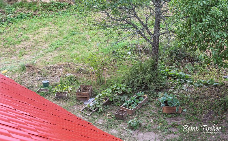 Aerial view to our veggie garden