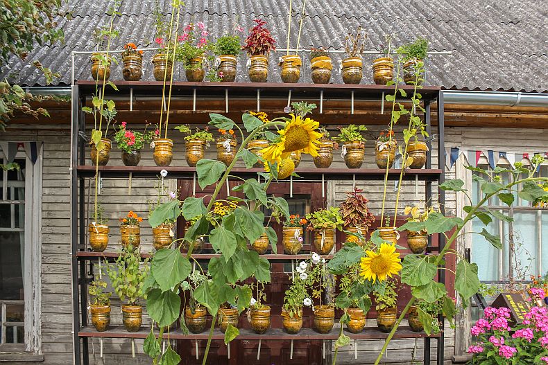 Veggies in plastic bottles