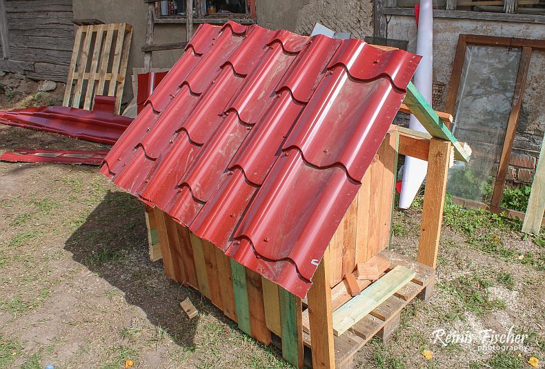 Roofing for doghouse