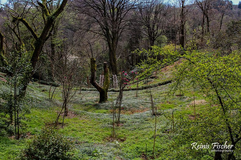 Batumi Botanical garden