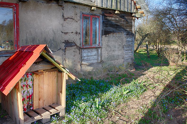 Dog house and snow drops in front of hour house