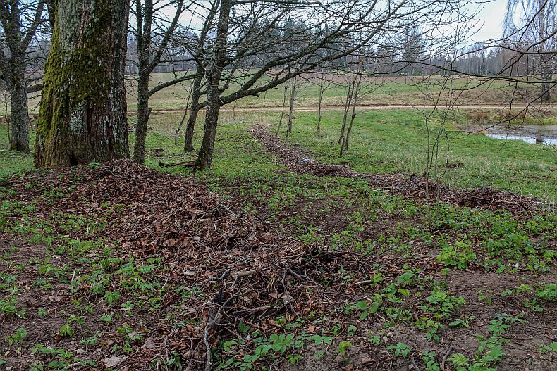 The Big Spring Cleanup in the garden