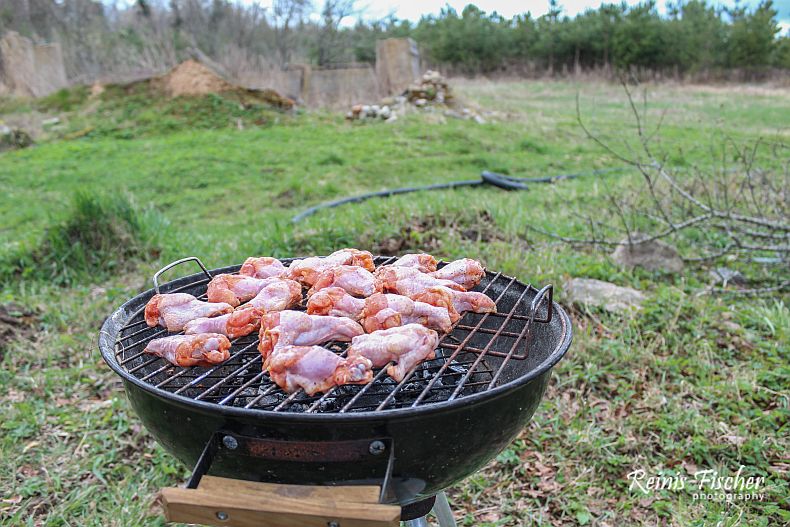 First Barbecue - Chicken wings