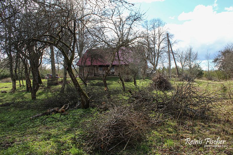 View towards house from apple orchard