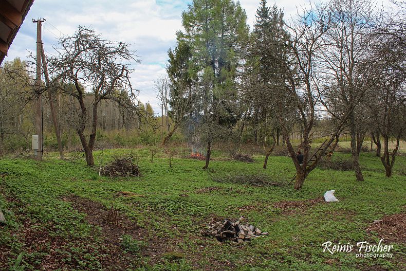 Burning branches in Apple orchard