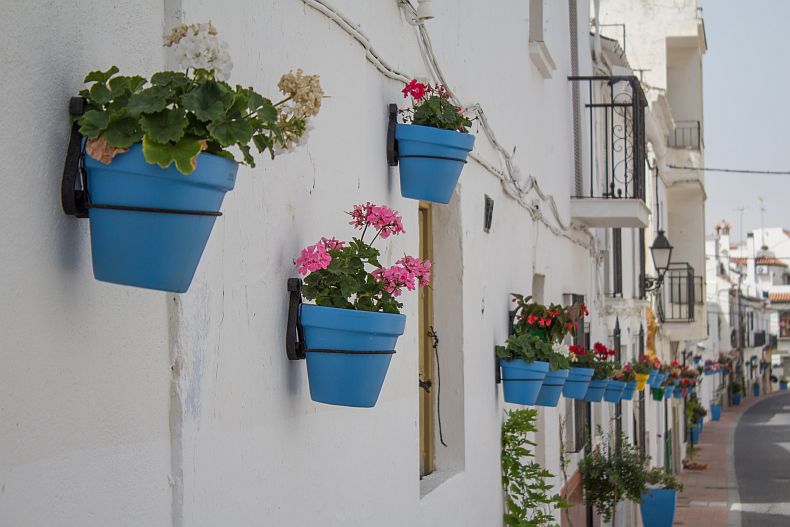 Flowers in streets of Estepona