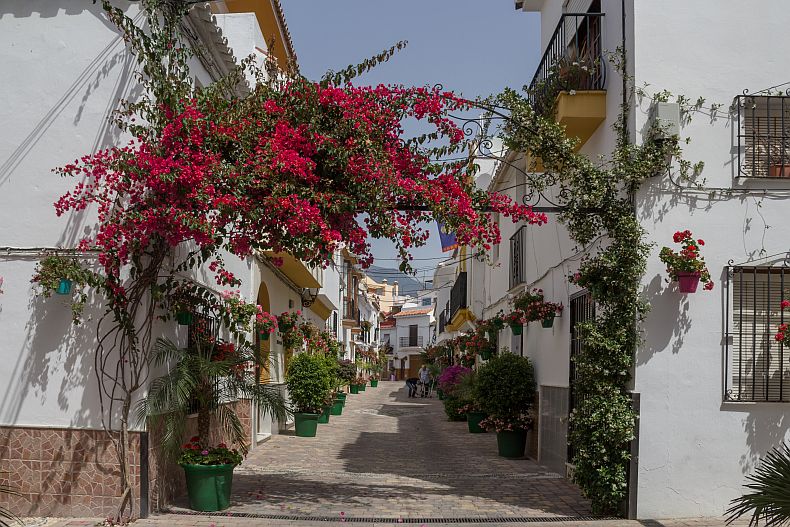 Estepona
