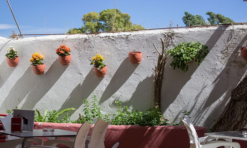 Flowers in Venta El Loro exterior 