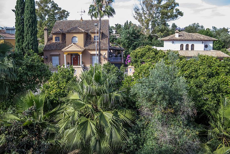 View through the window
