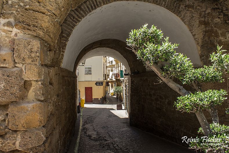 White arch in Cadiz