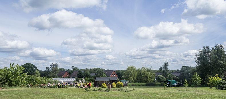 Peony display garden
