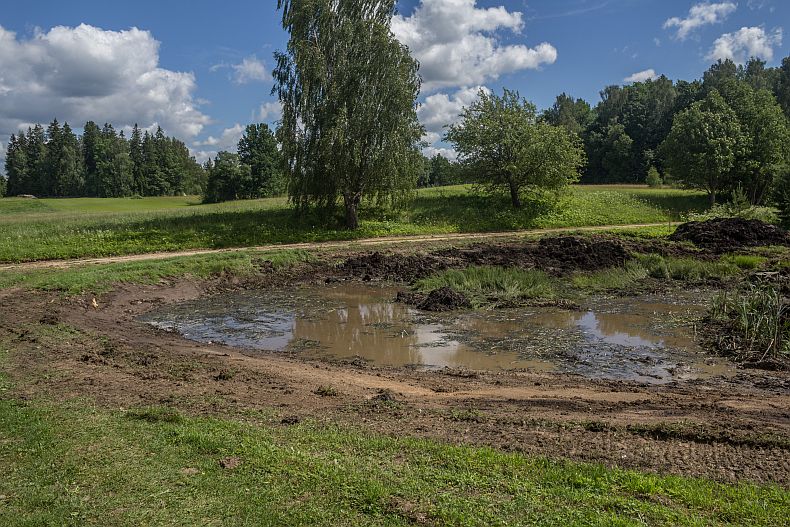 Freshly dug pond