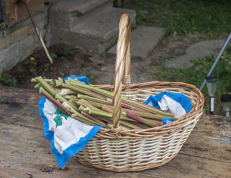 Rhubarbs in the basket