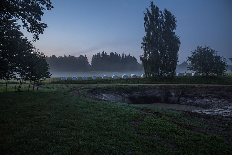 Mist over our pond and neighbors meadow