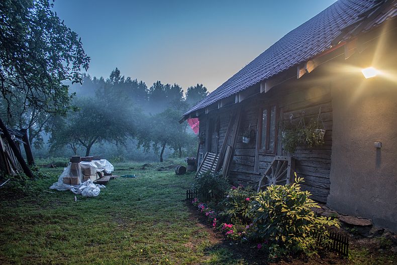 Mist in our backyard teritory