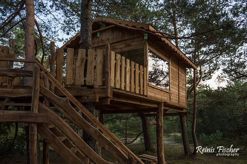 Tree house