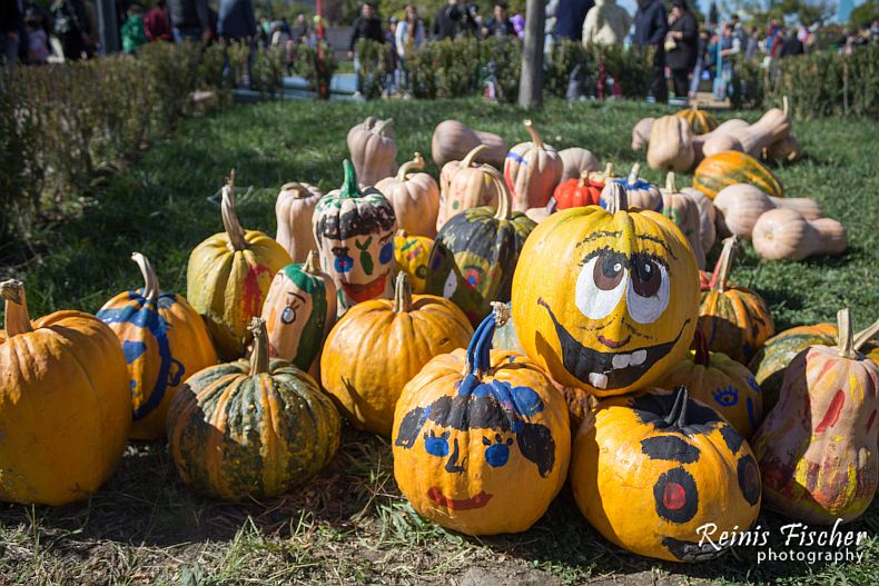 Painted pumkins