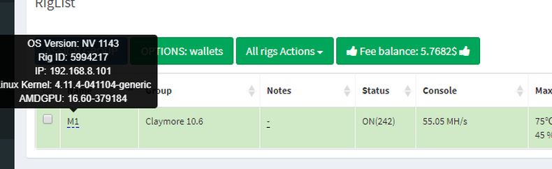 Detecting your rig's internal IP
