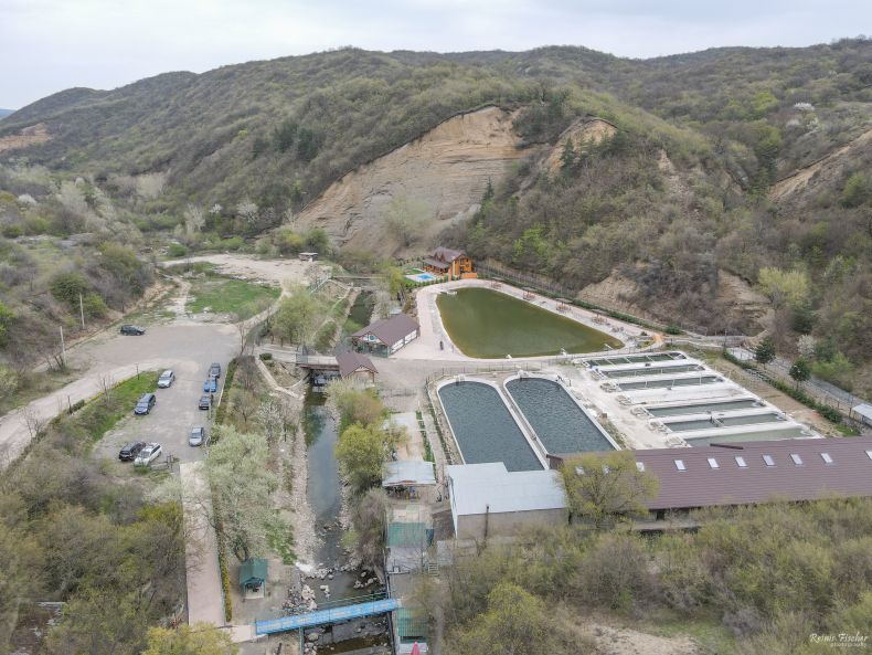 Admiral Fish restaurant