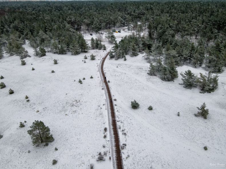 Grey dune area in Ventspils