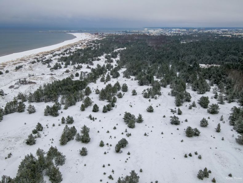 Grey dune area in Ventspils