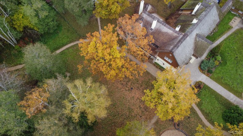 Forest house from a drone flight