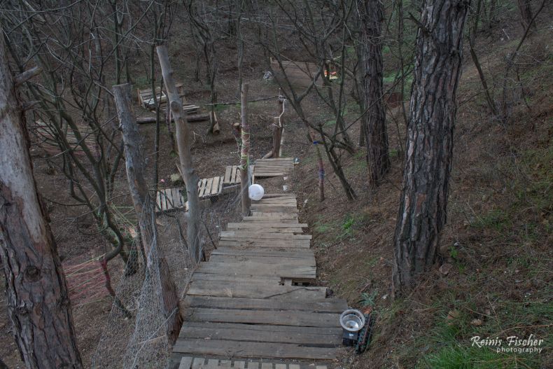 Wooden stairs in the middle of nowhere 