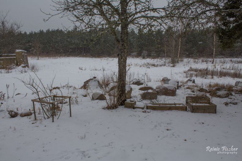 Rock garden in Winter