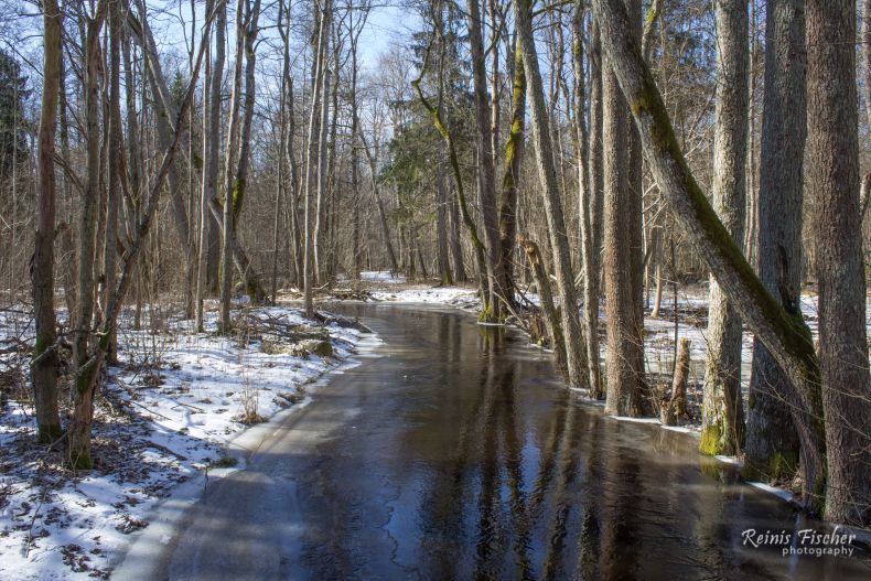 River Versupite in Kemeri National Park