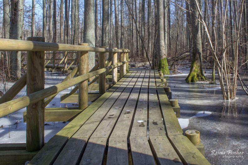 Boardwalks in Kemeri National Park