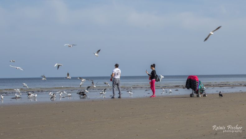 New parents feeding seagulls at Jūrmala beach