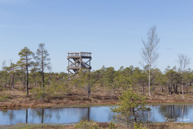 Bird observation deck in Kemeri bog