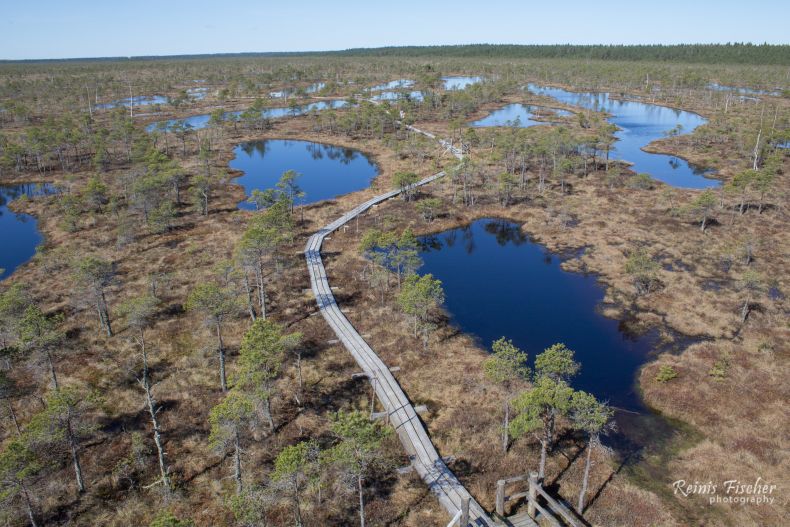 Aerial view of Kemeri Bog