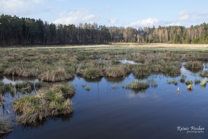 Mill lake in Kazdanga