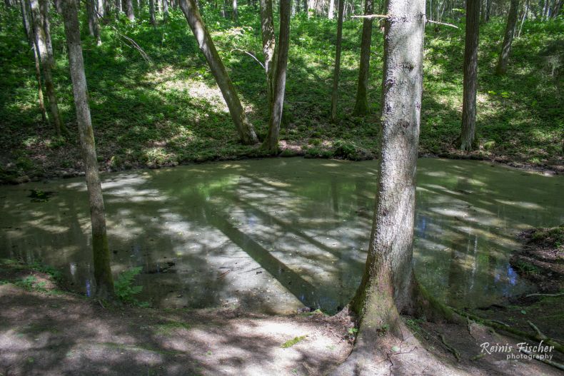 A small pond in the Pokaini forest