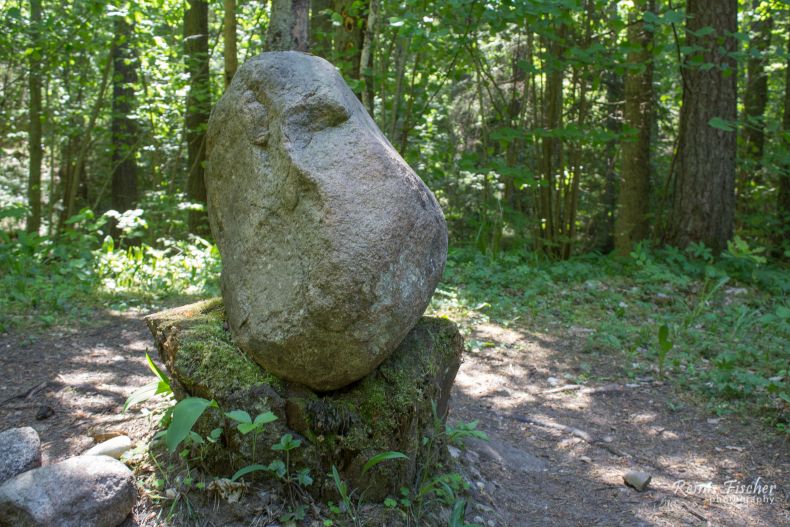 Rock at Pokaini forest