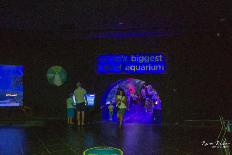Worlds biggest tunnel - aquarium