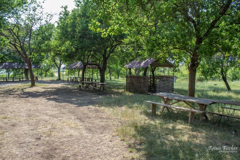Picnic area near the road