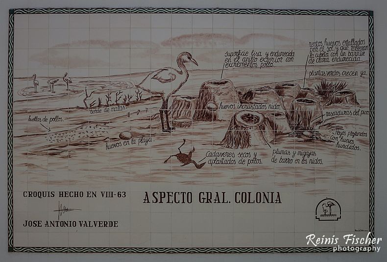 National Park of Doñana